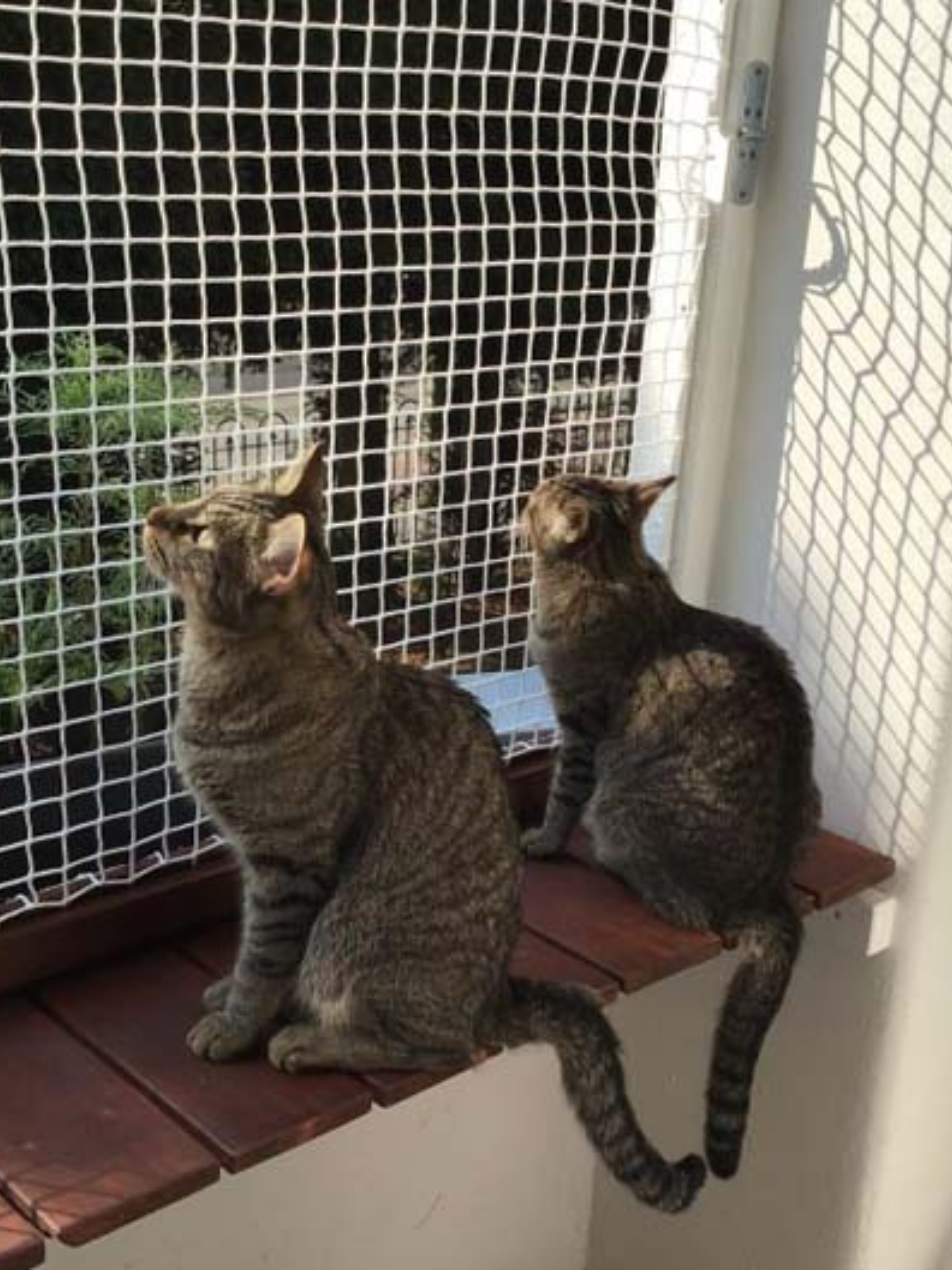 Duct Area Safety Nets