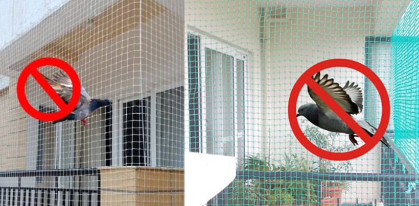 Pigeon Net Installation In Hyderabad | Call 7674073288 for Best Quality Net 