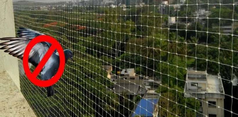 Pigeon Nets for Balcony in Hyderabad | Call 7674073288 Deepthi Enterprises