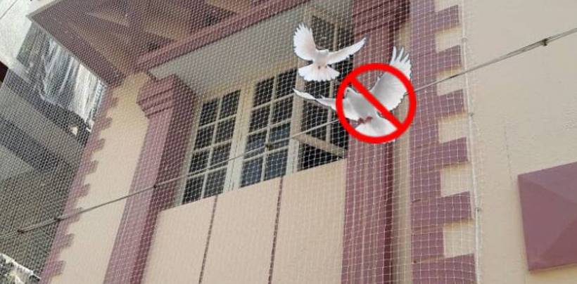 Pigeon Safety Nets Installation Cost in Hyderabad | Call 7674073288 Fixing Nets